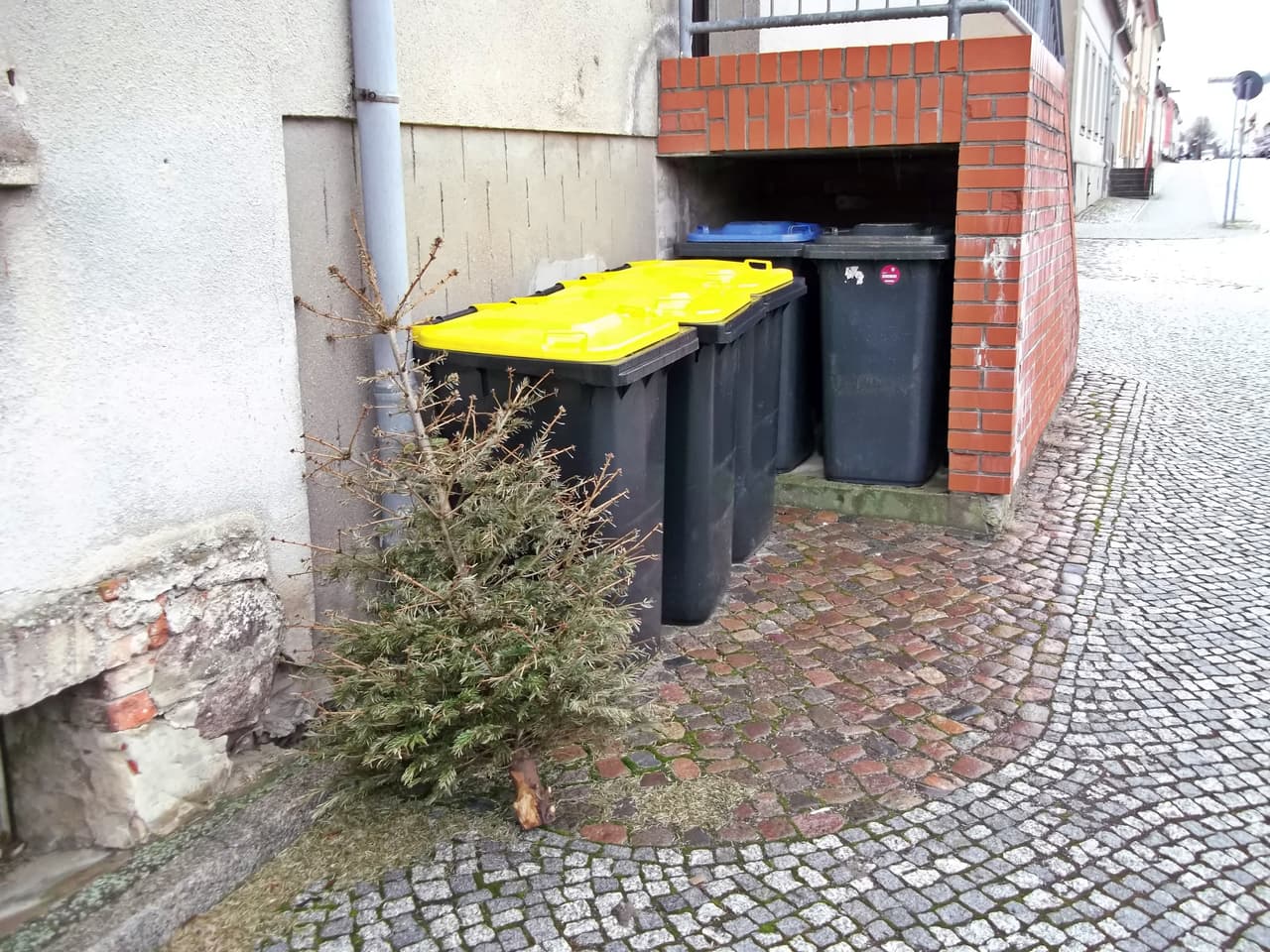 City To Provide Free Christmas Tree Drop Off At Recycle Centers