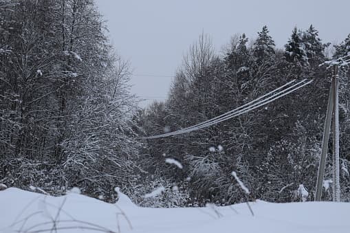 Cómo puedes prepararte en caso de un corte eléctrico por una tormenta de hielo 