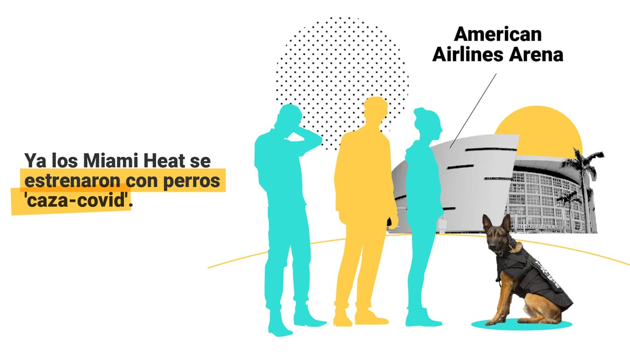 <a href="https://www.univision.com/noticias/los-perros-pueden-oler-si-alguien-tiene-el-coronavirus-esto-es-lo-que-sabemos" target="_blank">Aquí puedes leer la explicación completa</a>.