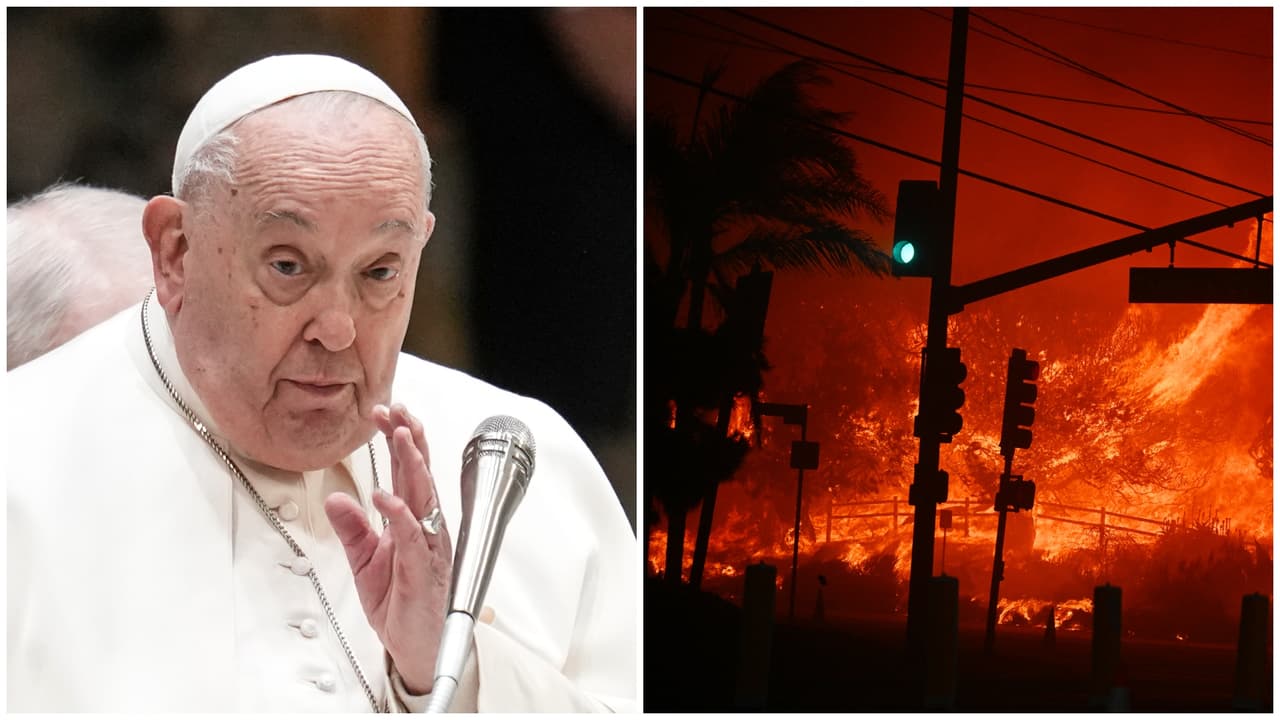  “Mi corazón está con Los Ángeles”, papa Francisco reza por víctimas de incendios