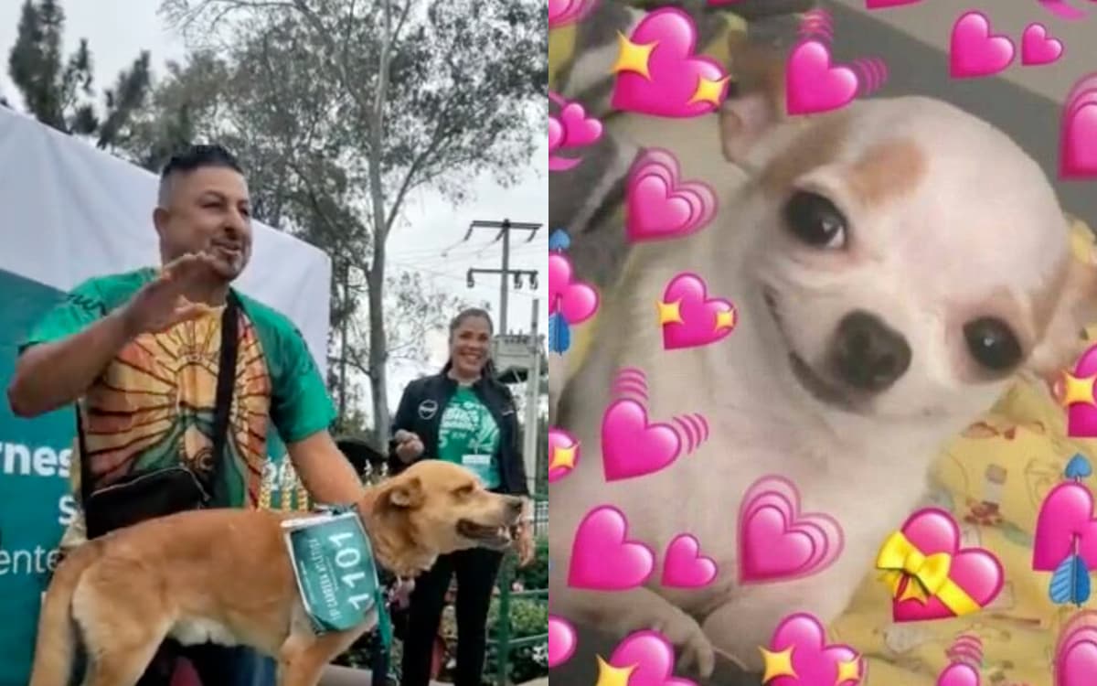 Perrito maratonista gana su primera carrera y así celebraron en redes: lo llaman "campeón perruno"