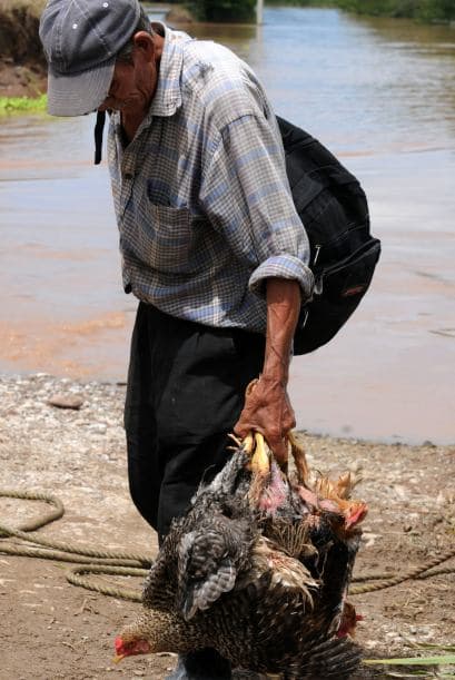 Mientras en Nicaragua se declaró la "alerta verde" (que facilita la adopción de medidas ante emergencias) ante las lluvias de los últimos cuatro meses, que dejan 55 muertos y más de 70 mil afectados, según el gobierno.