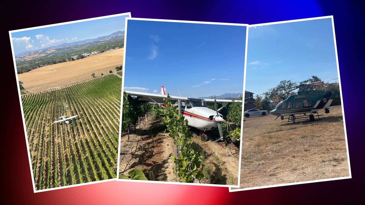 Avioneta realiza aterrizaje de emergencia en medio de viñedo