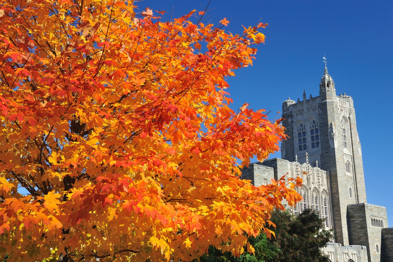 <b>Princeton University</b>
<br>
<br>Posición: 9
<br>País: Estados Unidos
<br>Ciudad: Princeton, Nueva Jersey
<br>Puntuación global: 84.2
<br>
<br>Matrícula y gastos promedio por año:
<br>Residente del estado: $70,010
<br>Fuera del estado: Igual