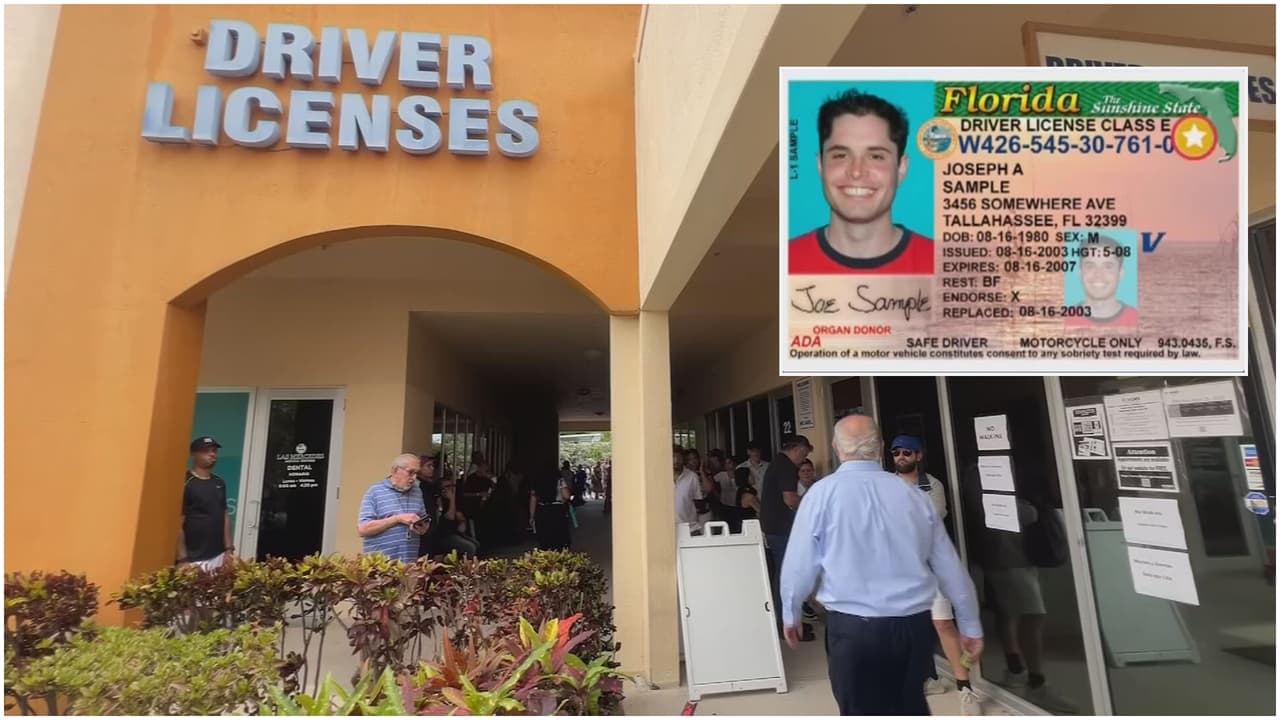 Migrantes sin estatus permanente deberán renovar y pagar por la licencia de conducir cada año en Florida