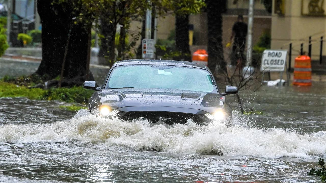 Las inundaciones causadas por las tormentas tropicales o huracanes suelen dejar atrás un enorme inventario de 
<b>autos con daños por agua</b>. Naturalmente los dueños de 
<b><a href="http://www.univision.com/noticias/consejos-autos/que-hacer-cuando-se-inunda-tu-automovil-fotos" target="_blank">estos vehículos</a></b>, particulares y concesionarios, van a querer venderlos cuanto antes a fin de minimizar sus pérdidas. Estos son autos que por efecto de los daños sufridos durante la inundación estarán, durante la vida útil que les quede, plagados de desperfectos que pueden poner el riesgo la seguridad de sus usuarios y que afectará el bolsillo de sus dueños con constantes reparaciones y por la perdida de valor del vehículo.
