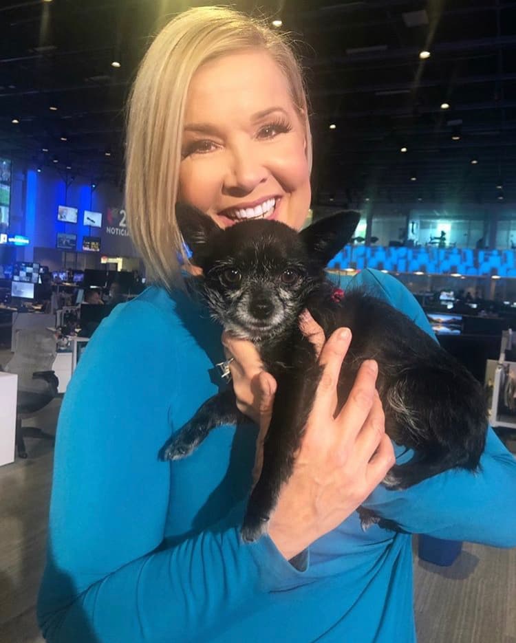 La presentadora de noticias Sandra Peebles nos muestra a Zoey, una yorkie con chihuahua a quien rescató y como nos dice es su compañera constante. #spotzoey