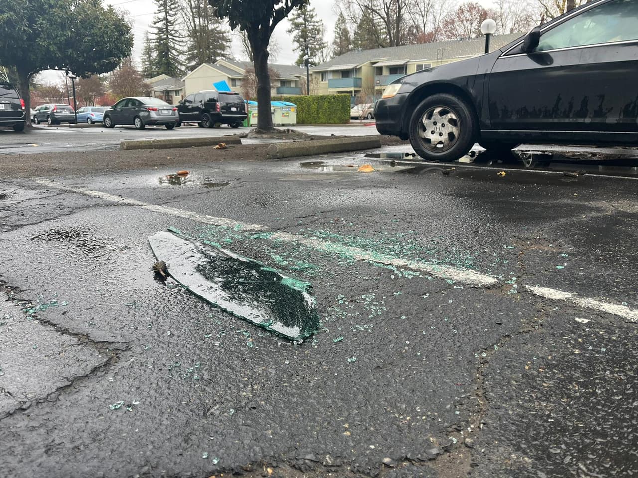 Más de 60 vehículos fueron dañados en las cercanías del campus de Sacramento State