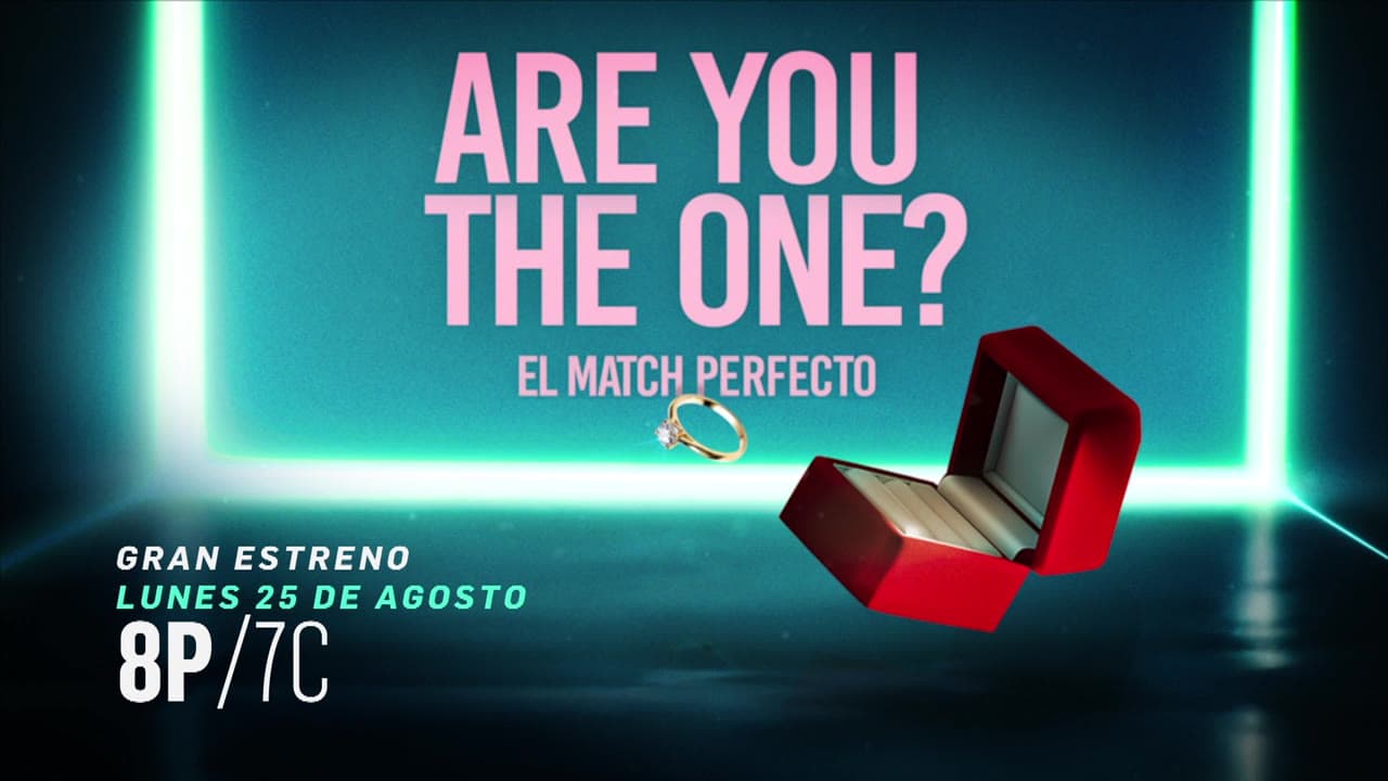 Are You The One?, El Match Perfecto