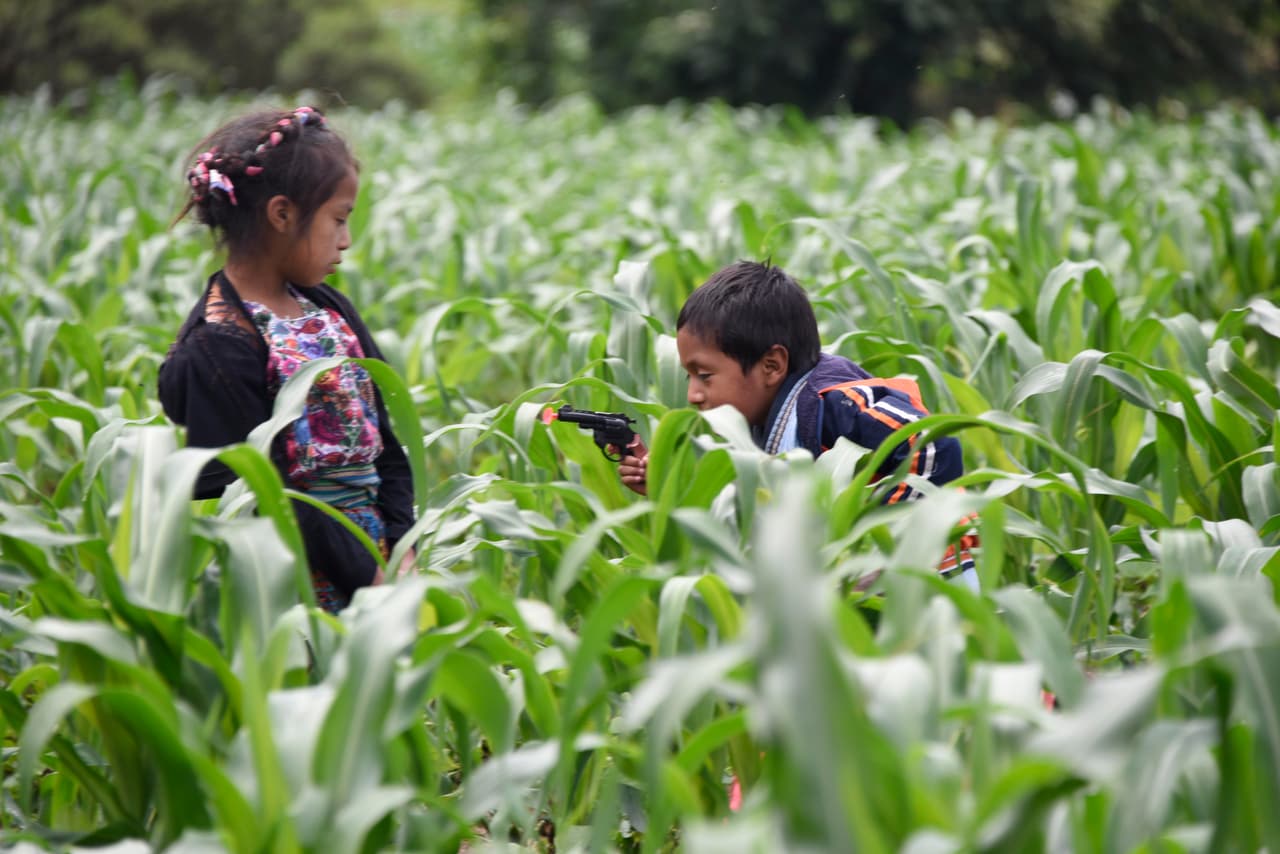 Algunos niños jugaban con pistolas entre los sembradíos mientras el resto de los asistentes acompañaba el féretro de Gómez al lugar del entierro.