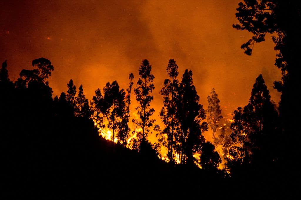 El fuego arrasa el sur de Chile, que vive una de sus peores catástrofes