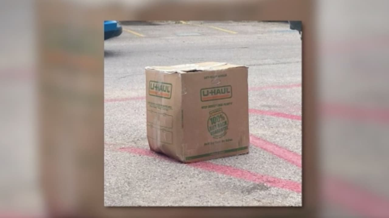 La cara de la mujer tenía múltiples laceraciones profundas, como si se hubiera utilizado un hacha o un machete, y sus huesos faciales parecían estar rotos, según los documentos leídos en el tribunal.