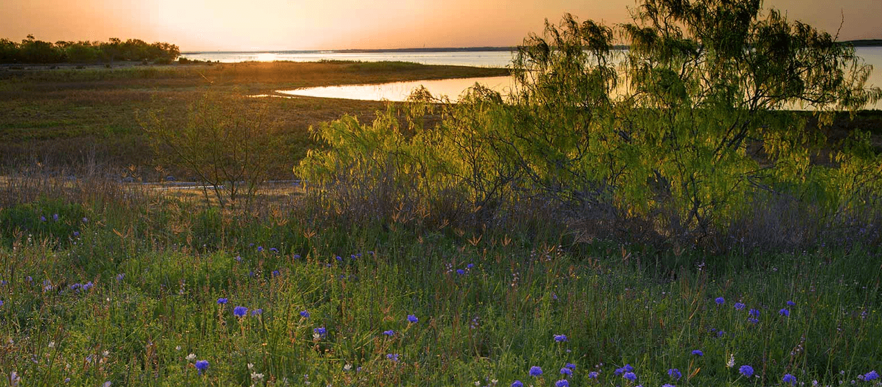 Choke Canyon State Park | Aquí puede observar el amanecer sobre el lago mientras los pájaros cantan en la maleza.