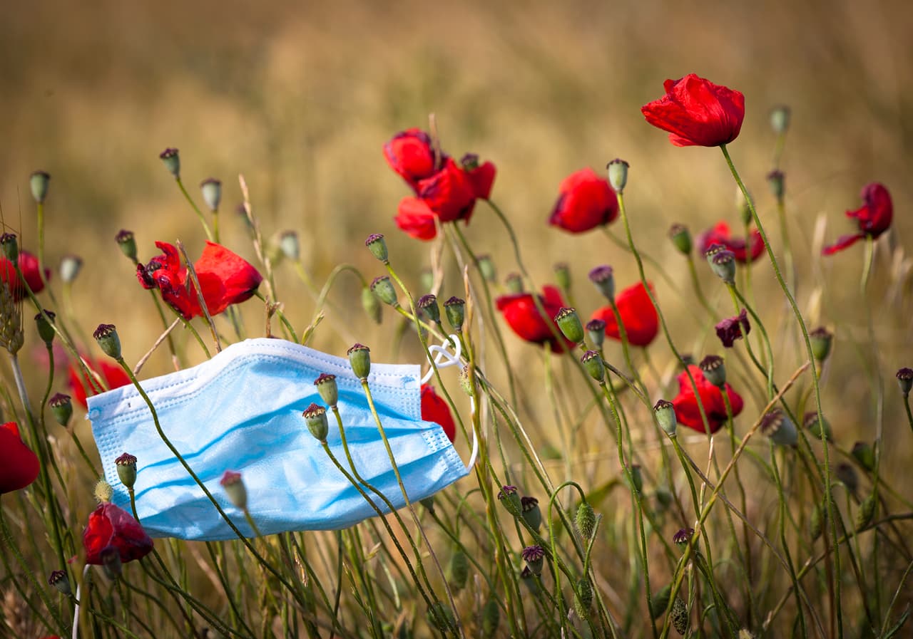 <b>‘Este no es tu lugar’</b>. Finalista en la categoría 'naturaleza en mi puerta’, fue tomada en Yecla, España
<a href="https://www.univision.com/noticias/medio-ambiente/cuando-los-cientificos-se-convierten-en-artistas-las-increibles-fotografias-microscopicas-premiadas-en-2020-fotos"><u>. Vea aquí las extraordinarias fotografías microscópicas premiadas en 2020</u></a>