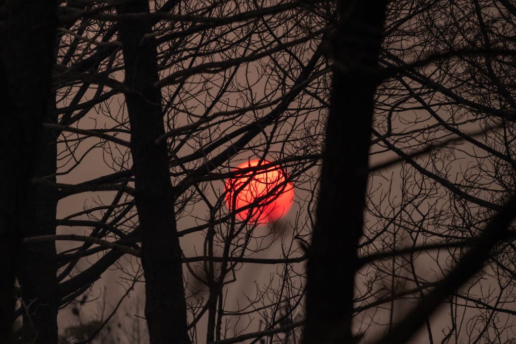 El domingo 28 de julio, las llamas se extendían más de 1,455 kilómetros cuadrados o 562 millas cuadradas, al interior del norte de California, muy cerca de la ciudad de Chico.
