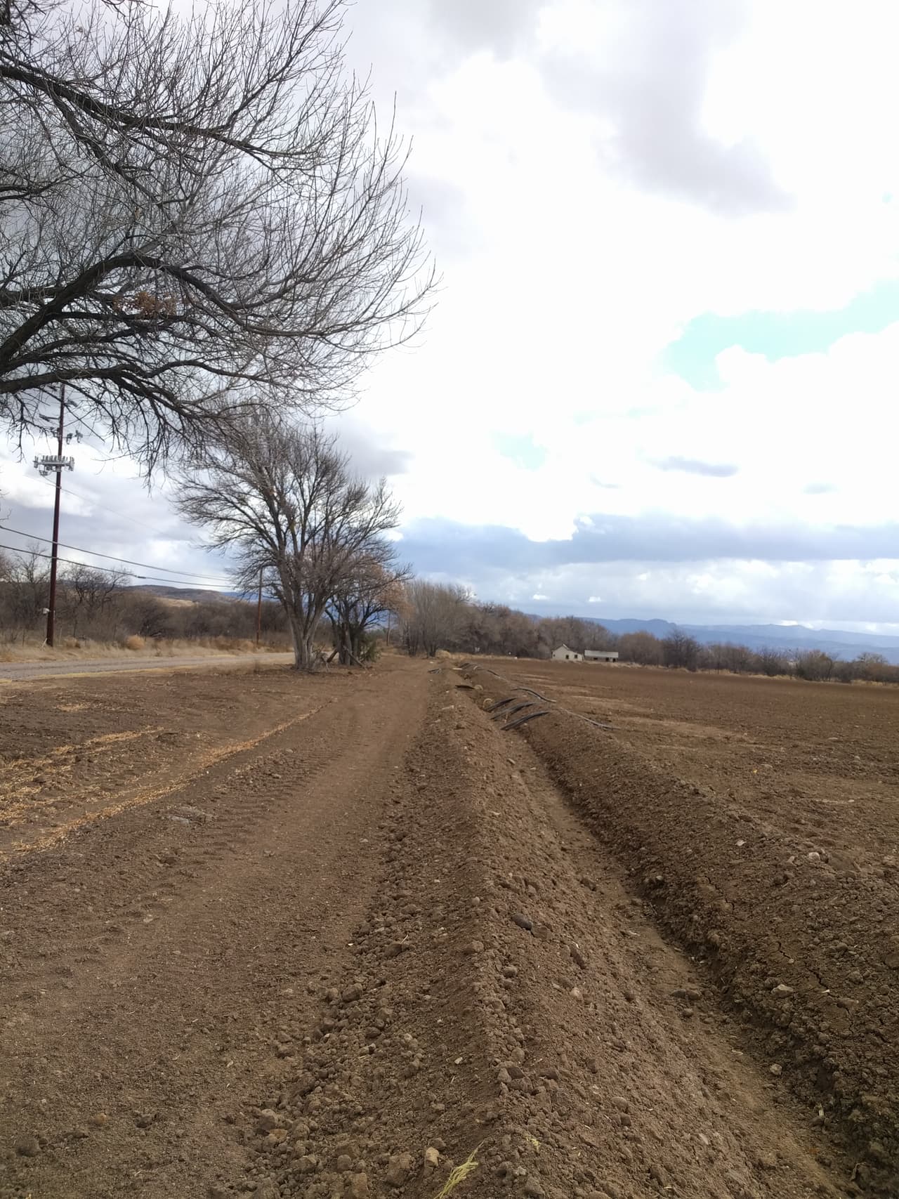 Así se ve la zona sin riego en el Valle Verde de Arizona. Las familias que aquí cultivan deben ingeniárselas para producir con la menor agua posible.