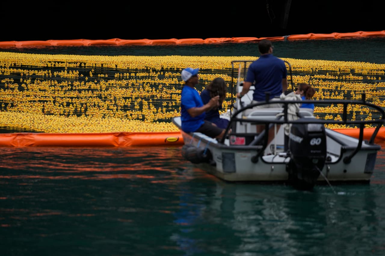 Después de la carrera, un grupo de voluntarios trabajó arduamente para recuperar cerca de
<b>75,000 patitos de goma del río,</b> asegurando su
<b>reutilización y cuidado ambiental.</b>
<br>