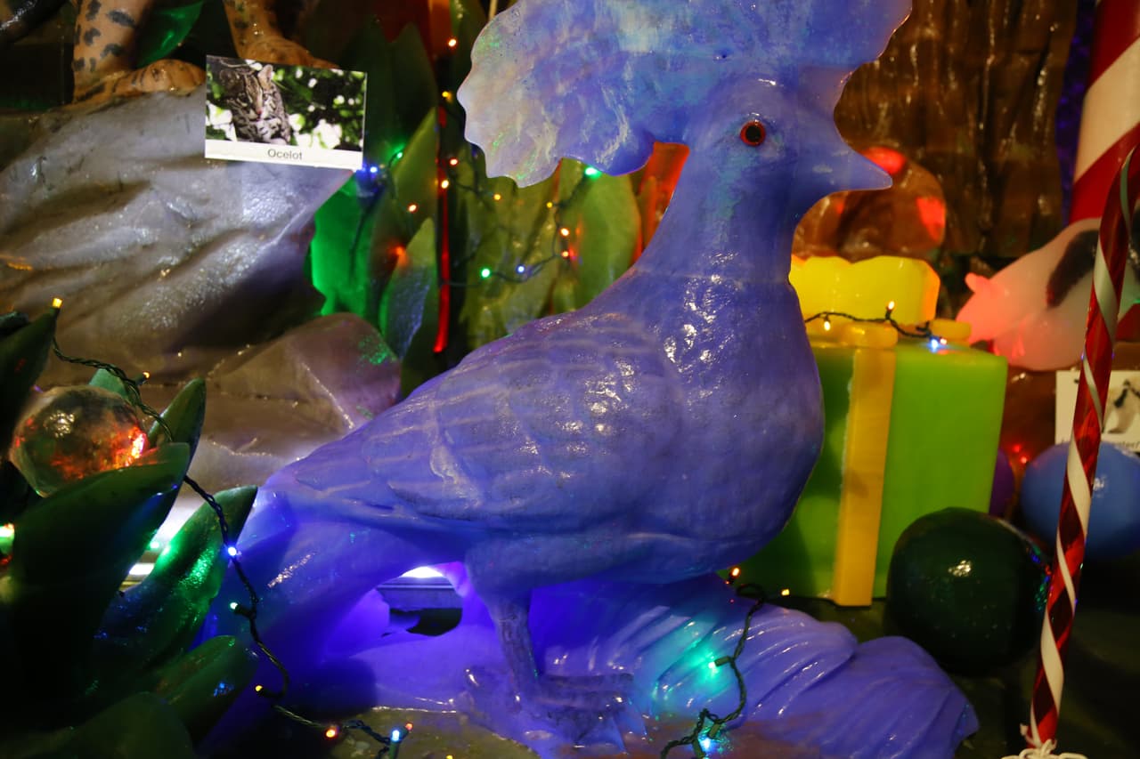 Aves exóticas en sus hábitats, todo esculpido en hielo.
