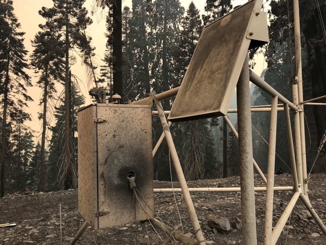 Los bomberos luchan contra este incendio desde el paasado 19 de agosto, cuando un 
<b><a href="https://www.univision.com/local/fresno-kftv/los-denominados-relampagos-secos-que-amenazan-con-causar-mas-incendios-en-california">relámpago seco </a></b>desató las llamas. En más de un mes de combate, sólo ha podido ser contenido en un 33%