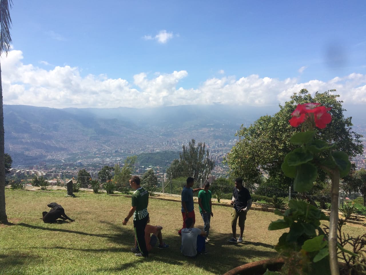 Medellín crea granjas comunitarias para sacar a los indigentes de la calle