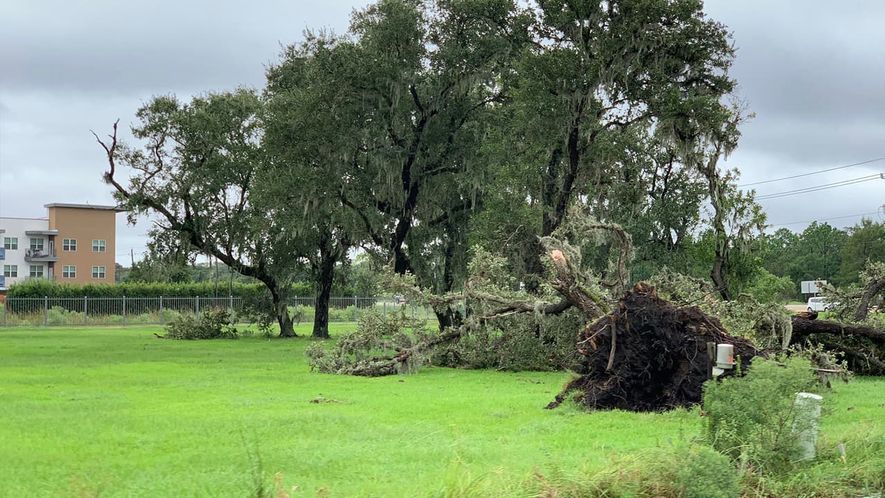 La tormenta produjo intensas lluvias, fuertes ráfagas de viento y marejadas peligrosas.