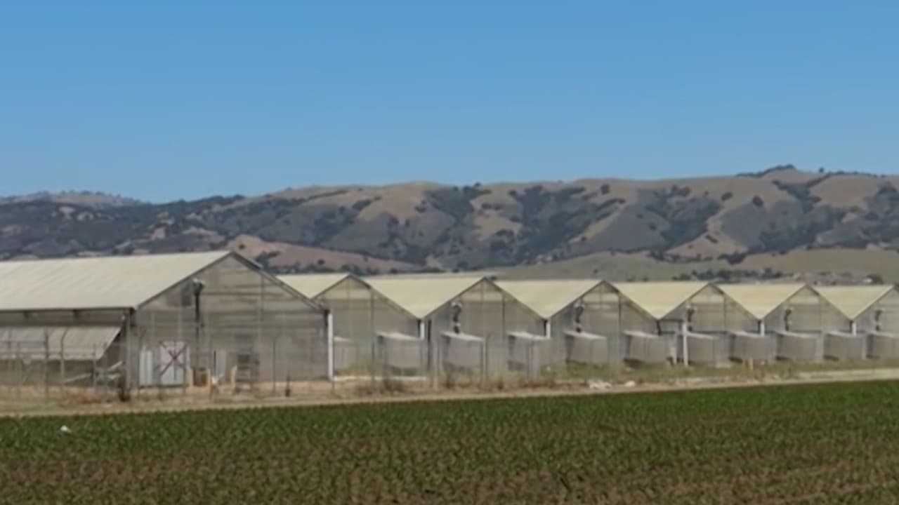 Frenan construcción de posible centro de detención para inmigrantes cerca de Gilroy