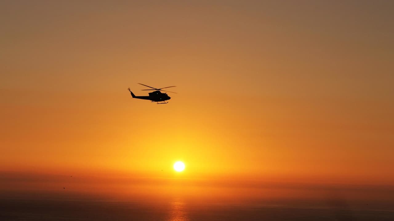 Accidente de helicóptero deja dos muertos al sur de Florida.