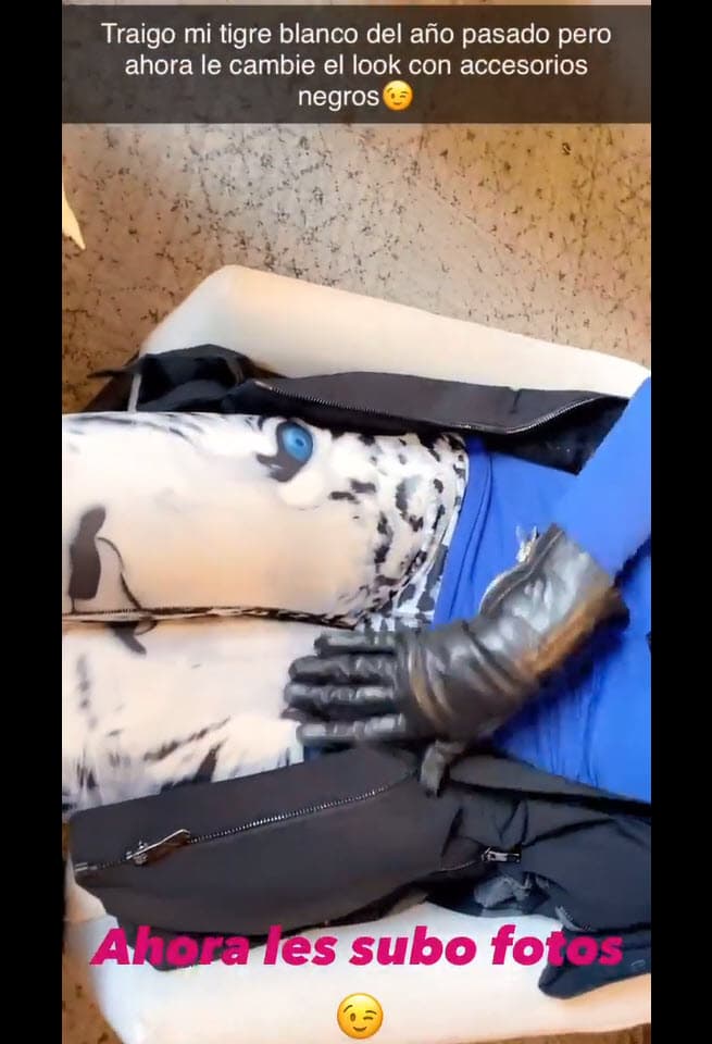 En la prenda resaltan unos intensos ojos azules de un leopardo de las nieves sobre las piernas, que los hacen inconfundibles. 
<br>