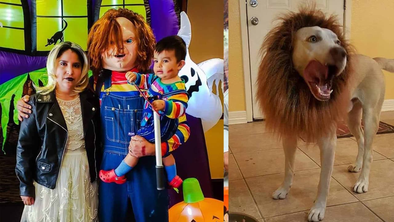 Don Javier - con my familia y la familia de Chucky