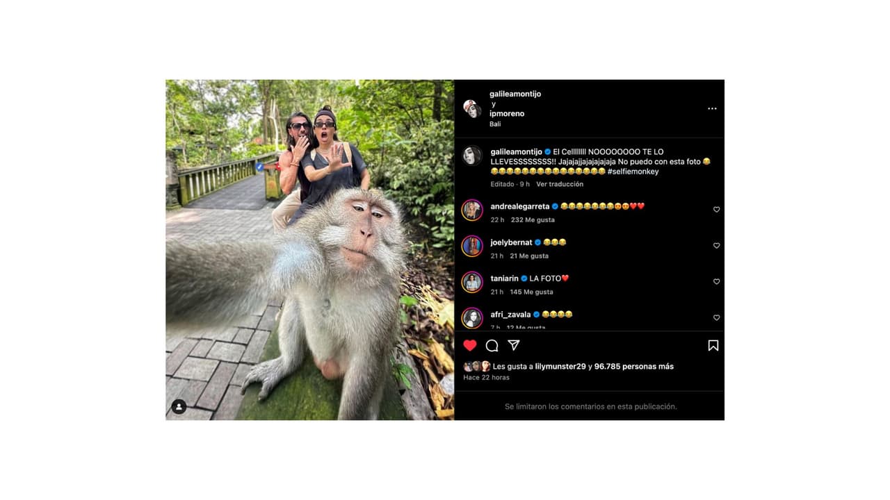 Galilea Montijo exhibe que un mono ‘le robó' su celular en Indonesia.