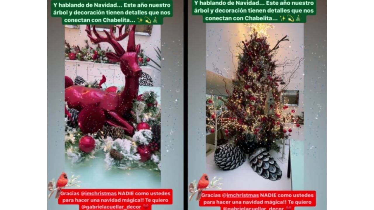Andrea Legarreta muestra cómo decoró su árbol de Navidad