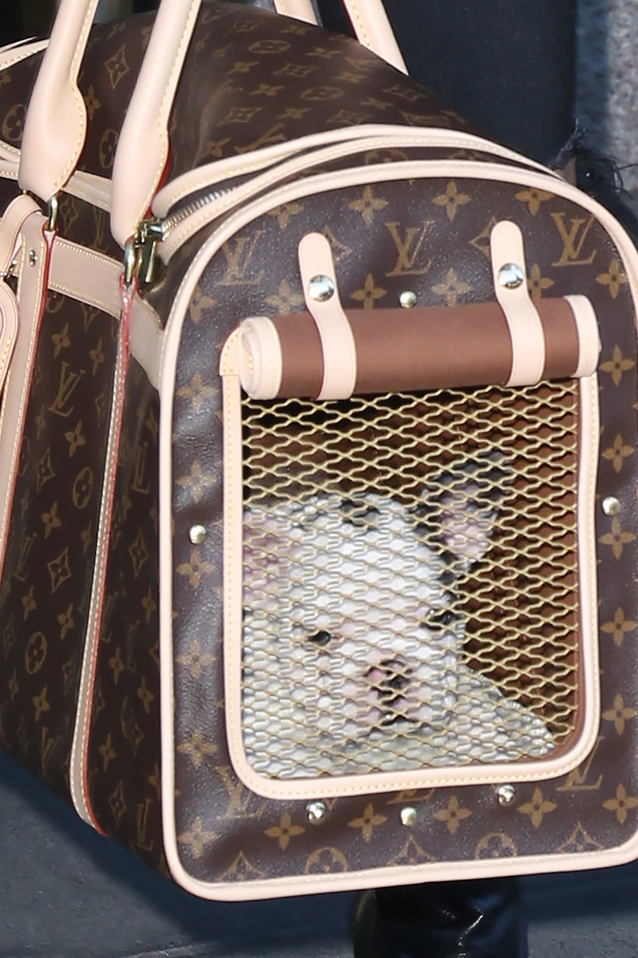 Y aquí tenemos al pequeñín.