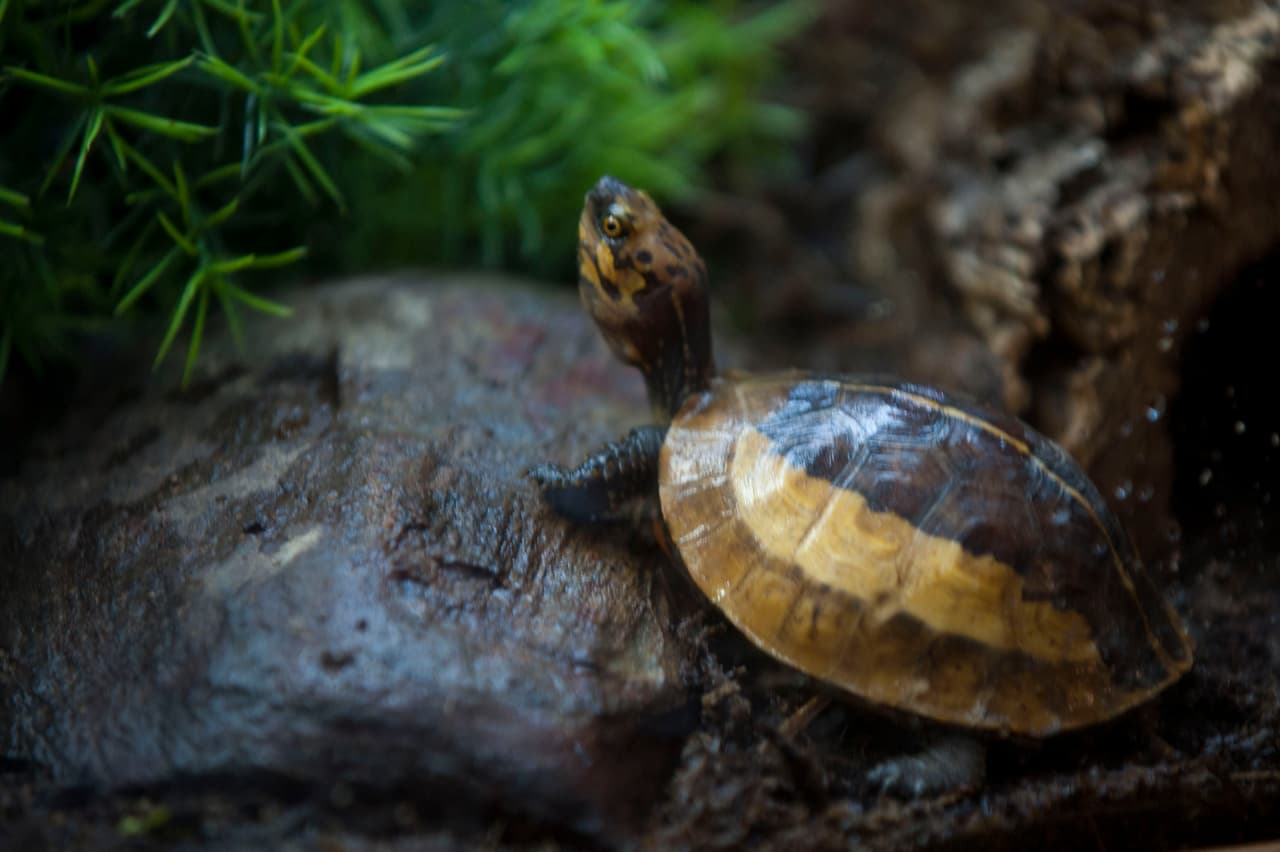 Un bello dia fue perfecto para las familias desde Bakersfield a Modesto.