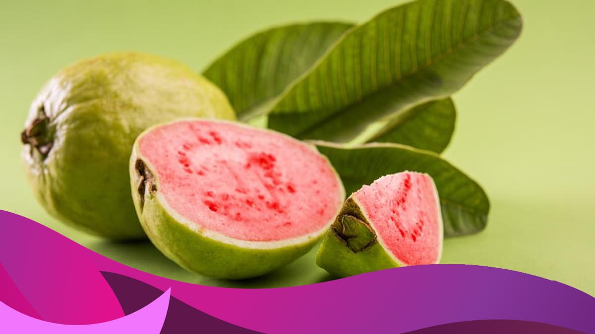 Las hojas de guayaba ¿imán de buena suerte?