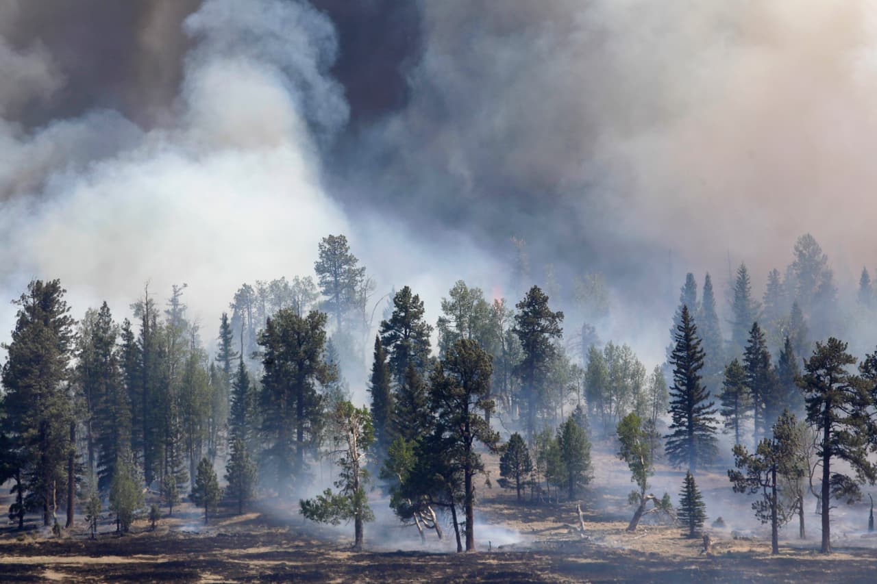 <b>Puesto 12: Wallow Fire, Arizona (2011).</b> Este fuego tuvo lugar en las montañas del este de Arizona cerca de la frontera con Nuevo México, el más grande registrado en ese estado. Quemó 538,049 acres y fue provocado por un rayo. 
<br>