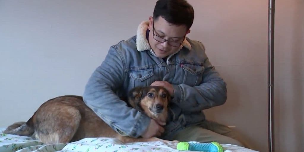 Organización sin fines de lucro ayuda con perritos a veteranos de guerra que les cuesta adaptarse a la vida como civiles