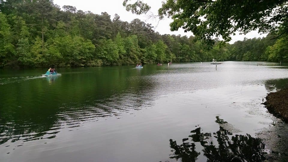 Completan el paisaje las áreas de restauración de pinos de hoja larga y los arroyos que alguna vez se utilizaron para producir alcohol ilegal y harina de maíz y que ahora ofrecen tranquilos lugares para pescar. Un lago de 11 acres complementa el río al brindar oportunidades para la recreación acuática.