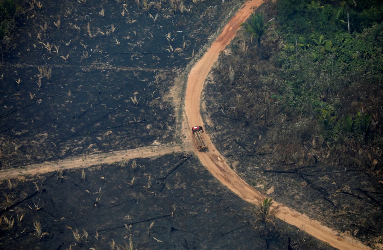 Una vista aérea de la destrucción en Boca do Acre, en el estado Amazonas. Hidroaviones del ejército brasileño comenzaron a arrojar agua sobre las llamas en el estado de Rondonia el fin de semana, y cientos de soldados llegaron al lugar. Aun así muchos brasileños salieron a las calles de Río de Janeiro y de otras ciudades el domingo para exigir que el gobierno haga más. Uno de los carteles decía "Bol$onaro quema nuestro futuro”.