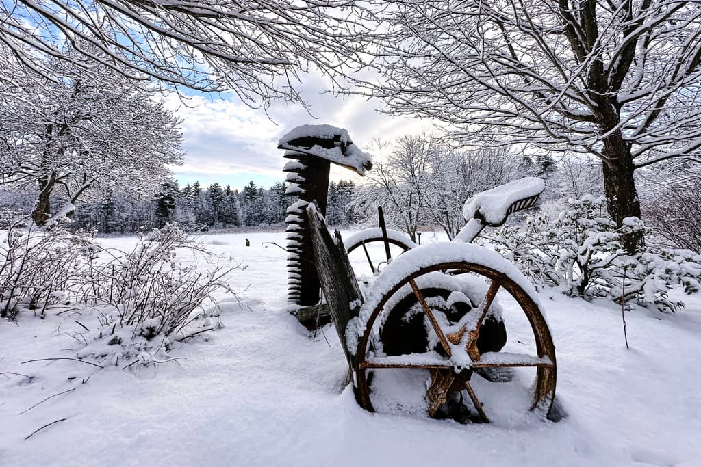 Más nieve para el norte de EEUU y drásticos descensos en las temperaturas en el sur por ciclón invernal