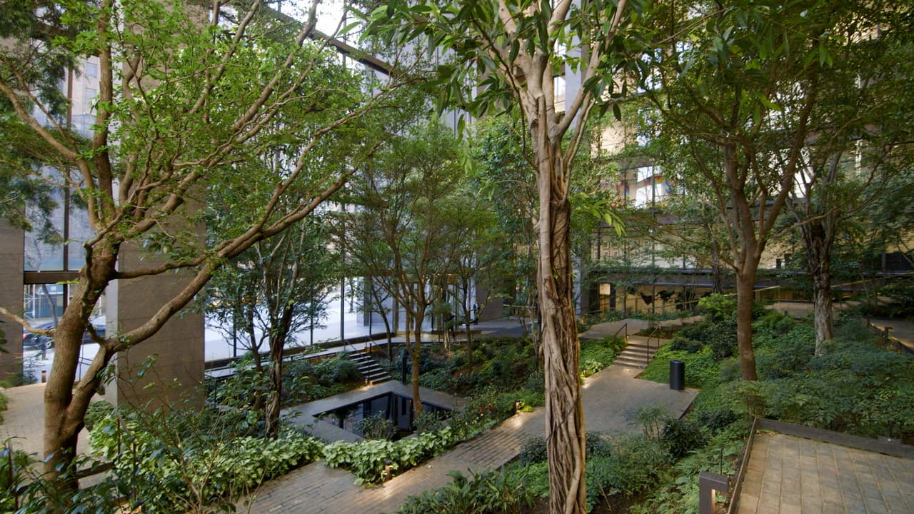 En el corazón de Manhattan se encuentra un "jardín secreto", en el techo del edificio de la Fundación Ford, con 22,000 enredaderas que van del techo al suelo. Lo mejor de todo: está abierto a todo el mundo.
<br>
<b><a href="https://www.univision.com/local/nueva-york-wxtv/jardin-secreto-fundacion-ford-manhattan-nueva-york-gran-manzana" target="_blank">Revisa más información aquí.</a></b>
<br>