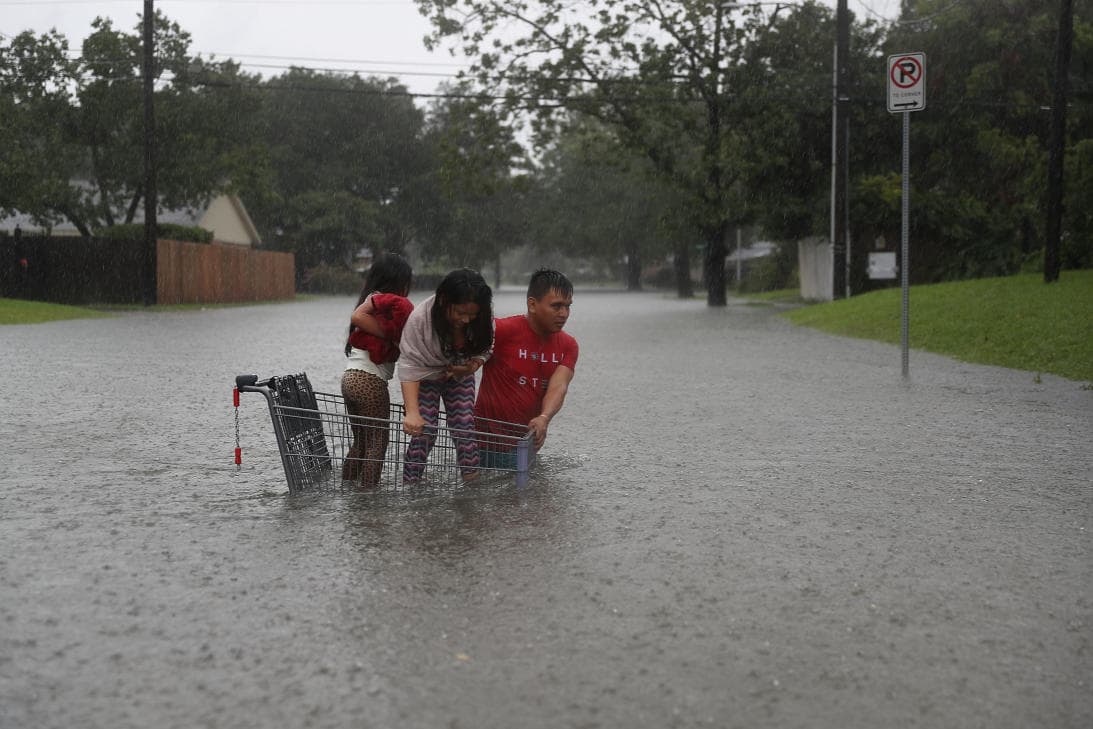 Preguntas y respuestas para indocumentados en situación de emergencia por Harvey