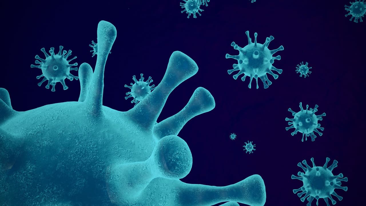 Los pacientes que tienen síntomas parecidos a los del resfriado deben cubrirse la boca y la nariz al toser y estornudar, lavarse las manos frecuente y correctamente, evitar compartir sus tazas y utensilios para comer con otros, abstenerse de besar a otros y quedarse en casa cuando están enfermos.
<br>