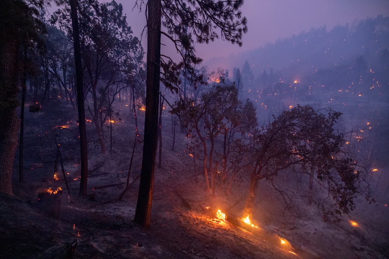 El Servicio Forestal informó que más de 6,800 incendios forestales han quemado 1.7 millones de acres en todas las jurisdicciones de California.