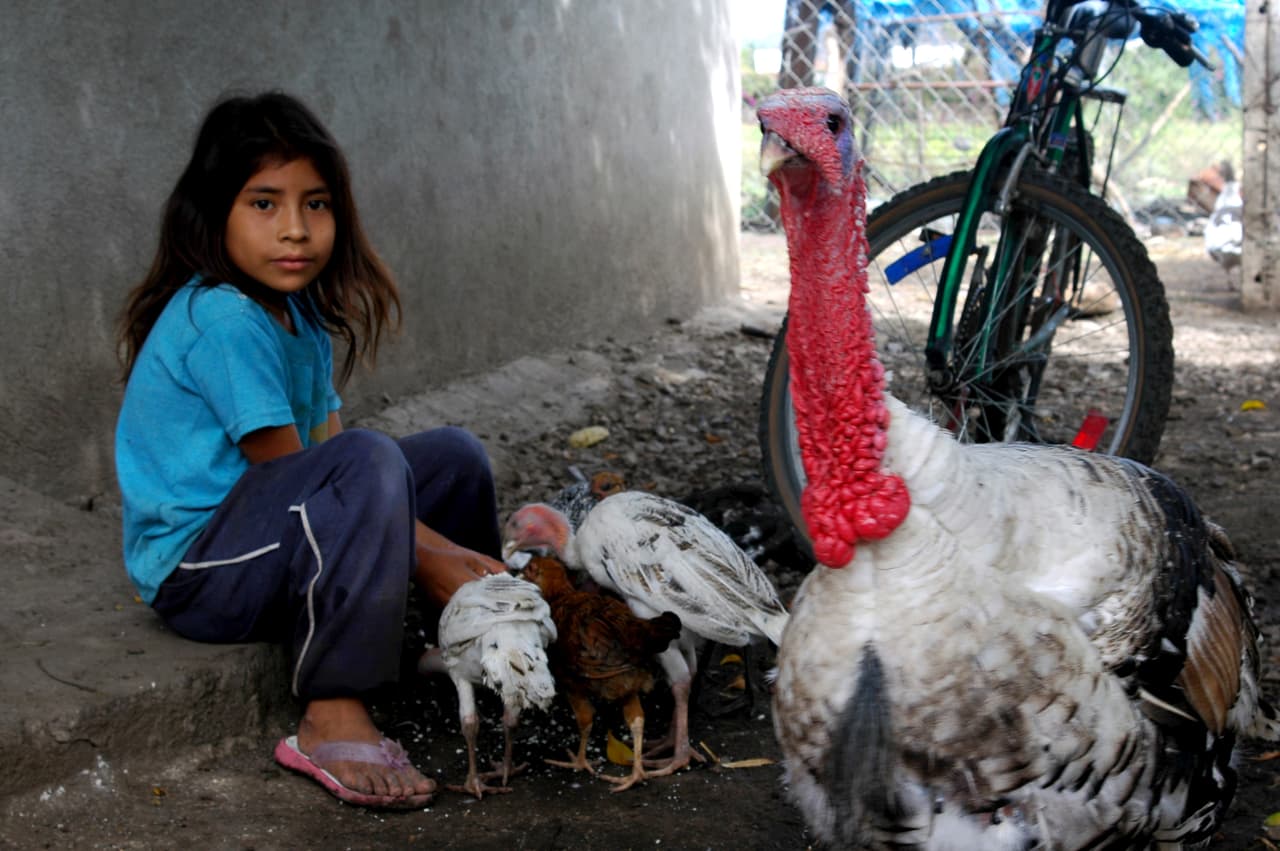 Los llamados niños jornaleros crecen y juegan en los campos donde sus padres y familiares trabajan.
