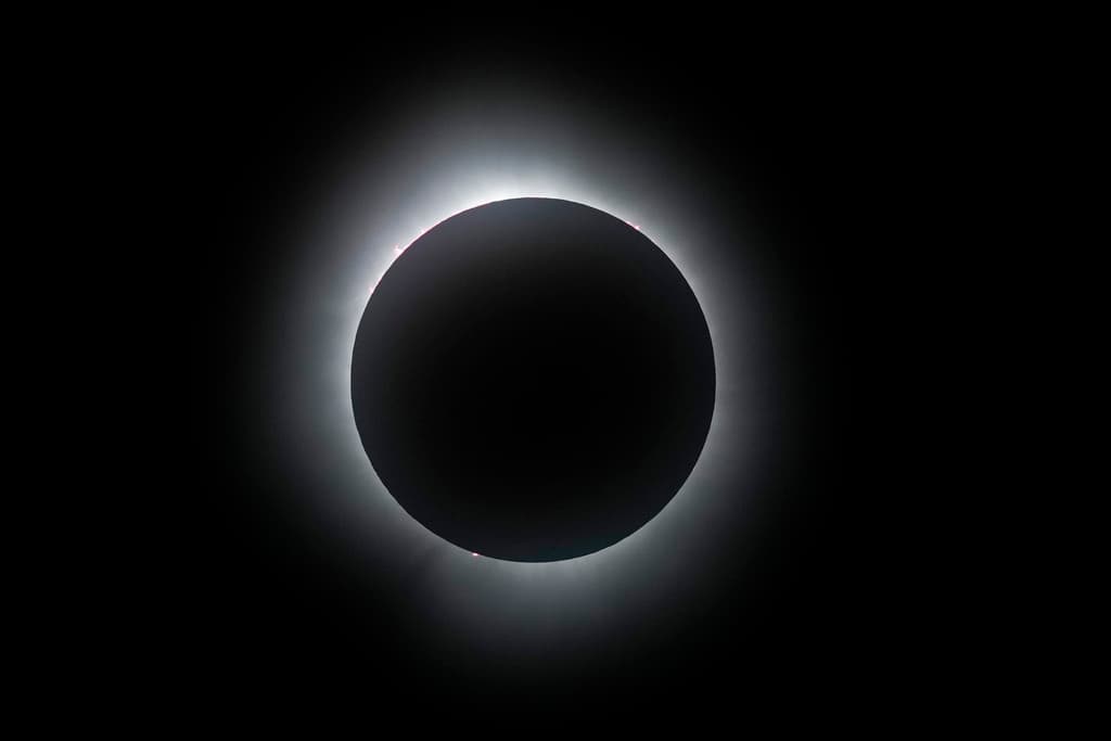 El Eclipse Total Solar del 2024 fue un evento astronómico que millones de personas presenciaron en vivo desde Texas, o lo siguieron a través de mensajes de texto y publicaciones en redes sociales.
