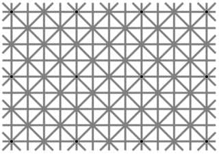 ¿Por qué no puedes ver todos los puntos negros a la vez? Se llama la ilusión de Ninio y tiene que ver con la 
<a href="https://hipertextual.com/2016/09/ilusion-optica-viral">visión periférica</a>.