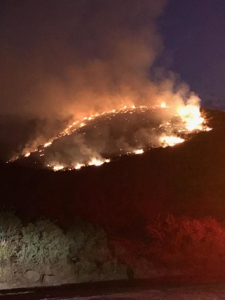 <b><a href="https://inciweb.nwcg.gov/incident/7101/ " target="_blank">Incendio Bolt</a>: </b>Autoridades indican que el incendio se desató el 28 de agosto, alrededor de las 3 pm cerca de Cave Crerek, Arizona. Hasta ahora, el incendio ha consumido 1420 acres de terreno y solo se ha contenido en un 50%
<br>