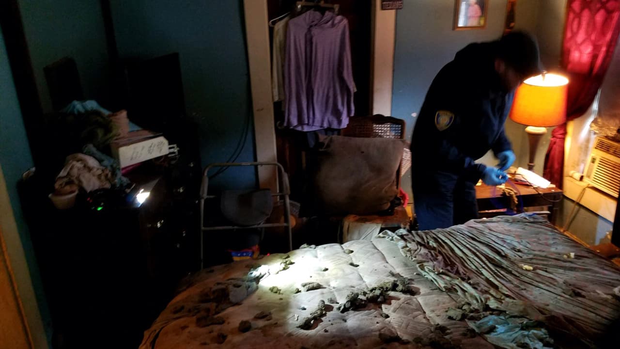 Los perros estaban convivían entre sus excrementos y orina.