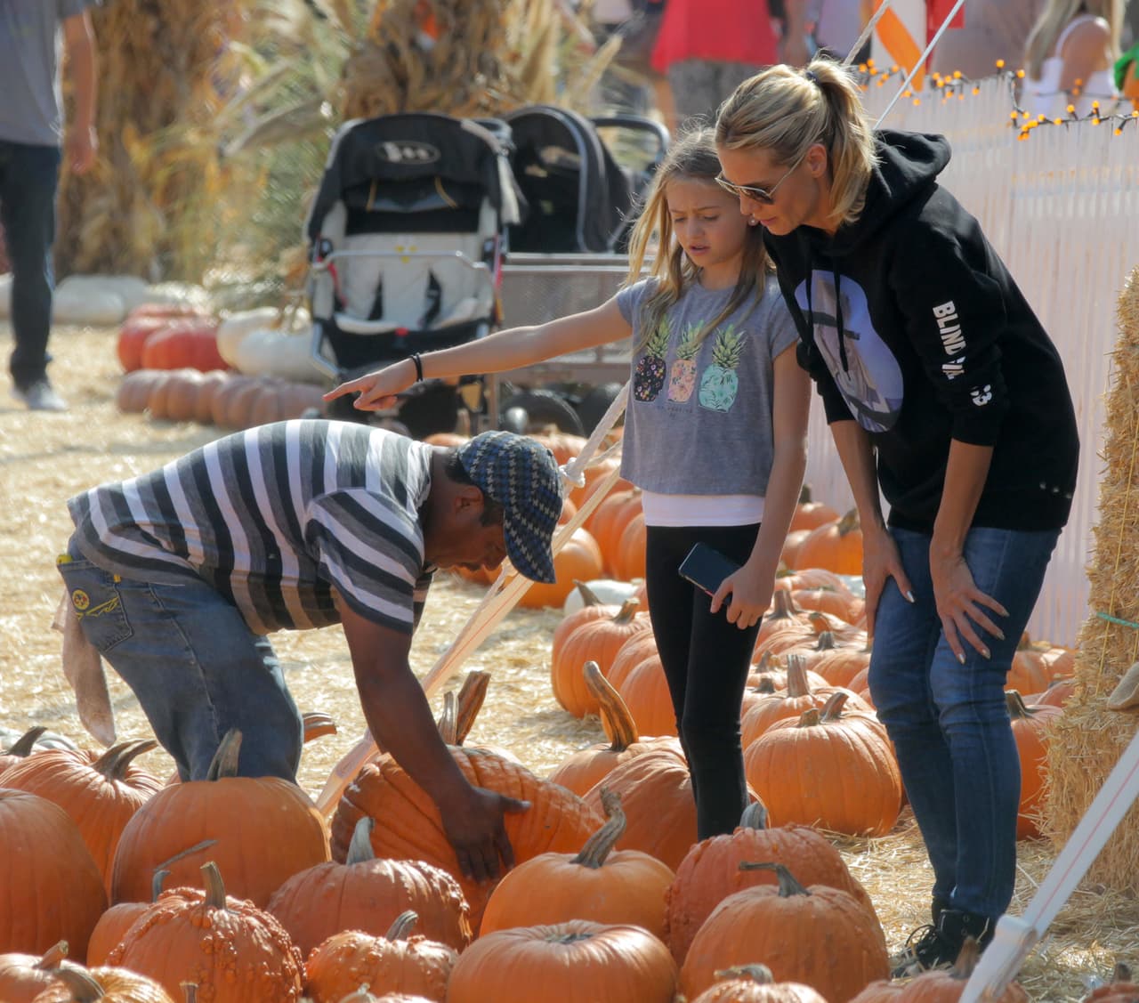 Había una gran variedad de calabazas, y los pequeños no podían decidir cuál llevarse a casa.