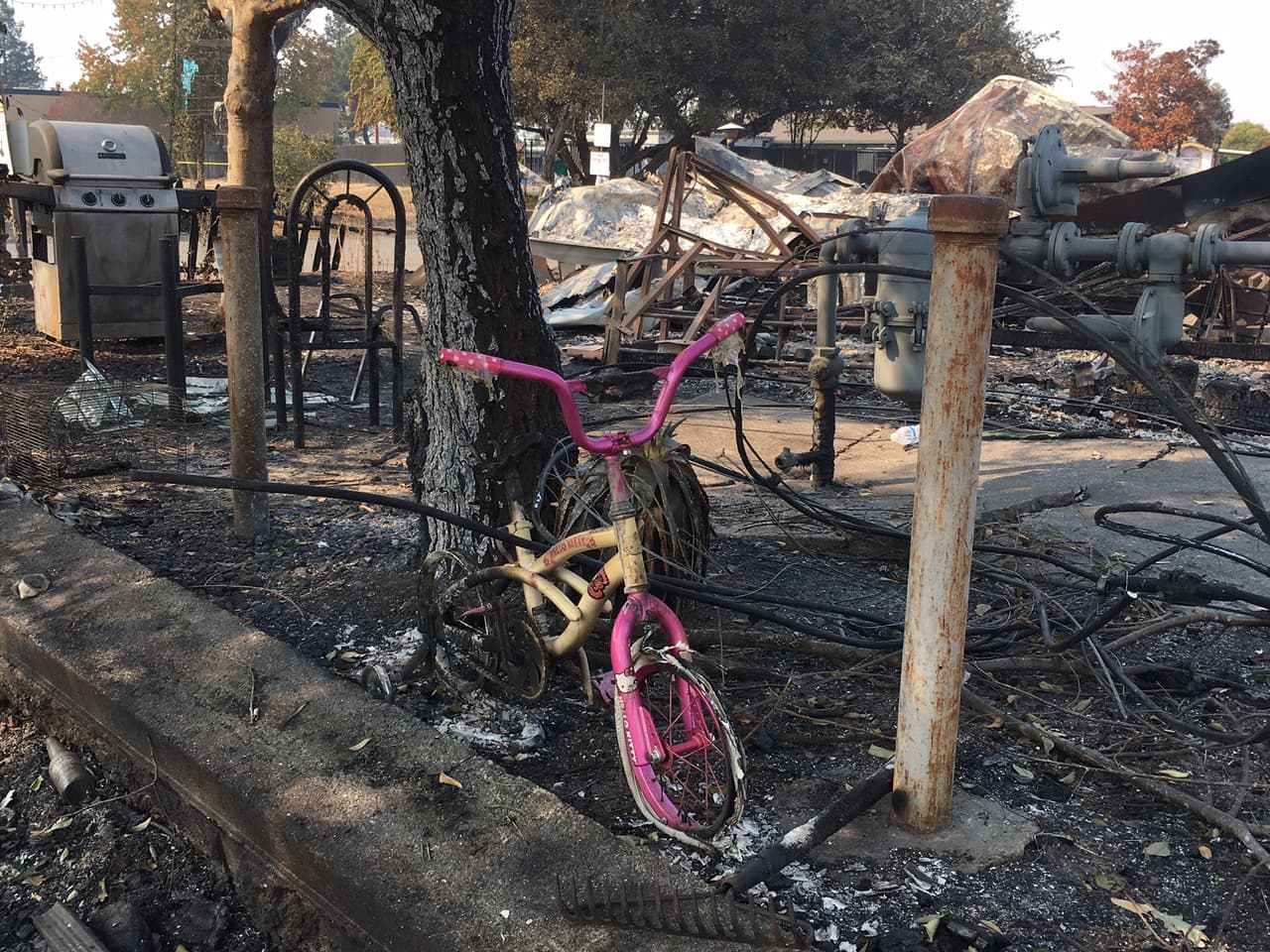 "De las cenizas renaceremos": así se recupera el barrio más calcinado por el fuego en California